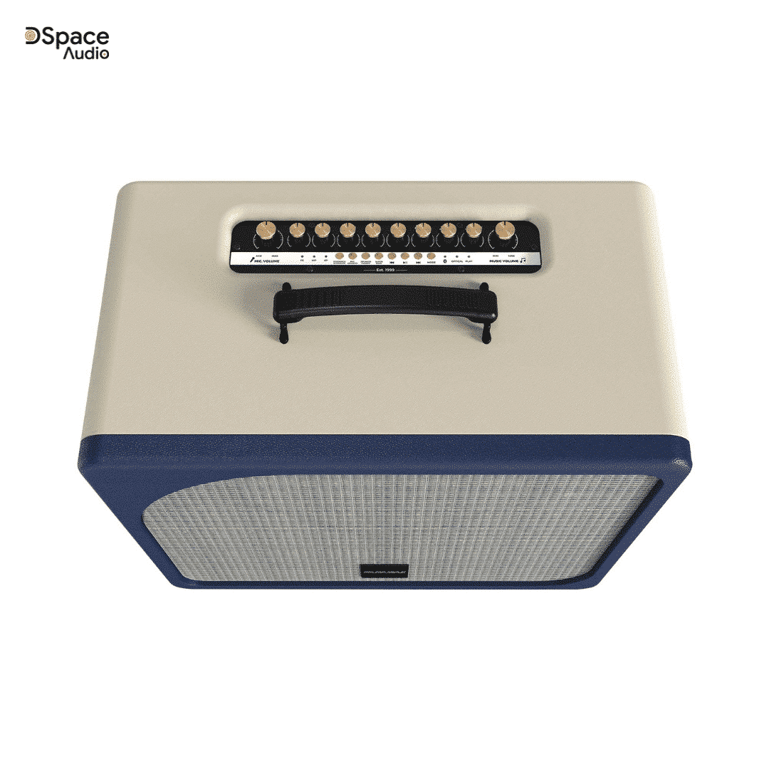 Loa karaoke PARAMAX Evox - Ảnh 11