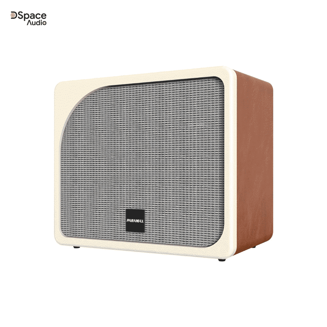 Loa karaoke PARAMAX Evox - Ảnh 5