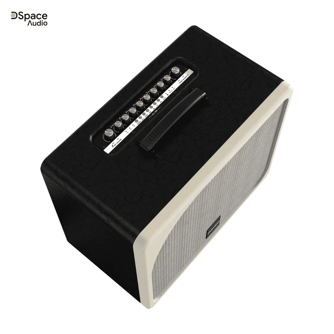 Loa karaoke PARAMAX Evox - Ảnh 2