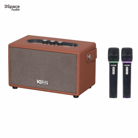 Loa Karaoke Acnos S60